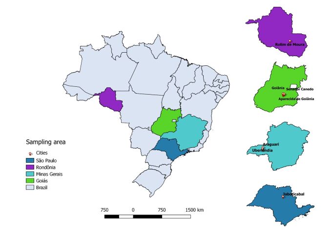Molecular detection of hemoplasmas in domestic cats from different Brazilian regions.
