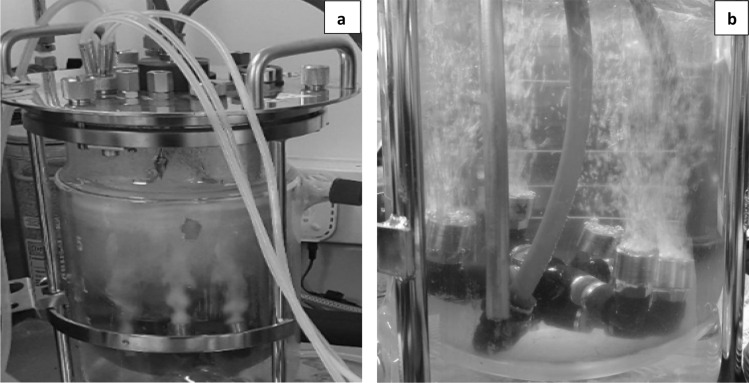Toxicity reduction in continuous, high productivity ethanol fermentation by Parageobacillus thermoglucosidasius using in situ microbubble gas stripping.