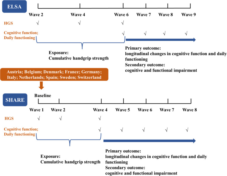 Cumulative handgrip strength and longitudinal changes in cognitive function and daily functioning among people aged 50 years and older: evidence from two longitudinal cohort studies.