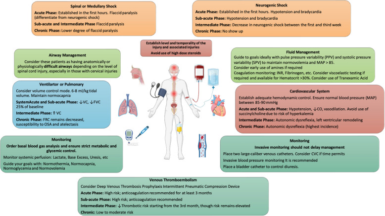 Perioperative management in acute and chronic spinal cord injury, narrative review.