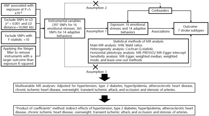 Association of Emotional Stress and Adaptive Behavior with Stroke Risk: A Mendelian Randomization Study.
