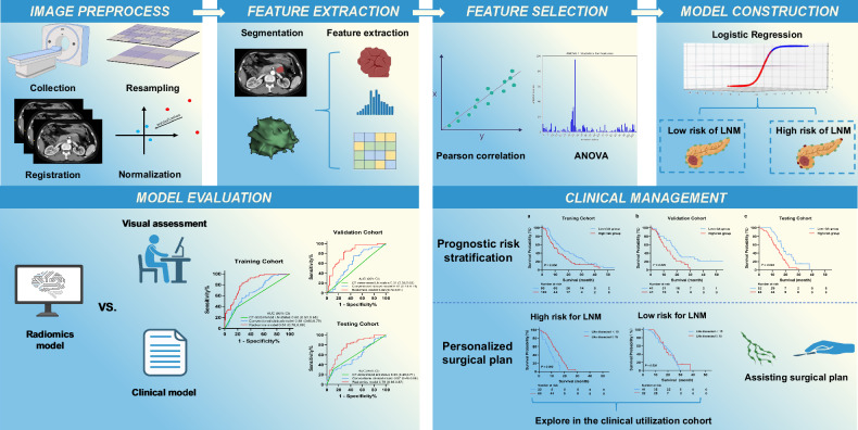 A radiomics-based model for predicting lymph nodes metastasis of pancreatic ductal adenocarcinoma: a multicenter study.