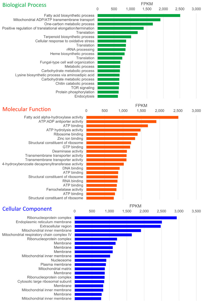 Transcriptome Analysis of Dryadomyces quercus-mongolicae, a Fungus Associated with Korean Oak Wilt Disease that Causes Oak Mortality in South Korea.