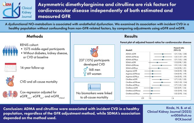 Asymmetric dimethylarginine and citrulline are risk factors for cardiovascular disease independently of both estimated and measured GFR.