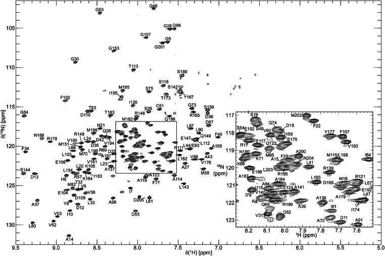 Backbone and side‑chain <sup>1</sup>H, <sup>13</sup>C and <sup>15</sup>N resonance assignments and secondary structure determination of the rhizobial FixJ.