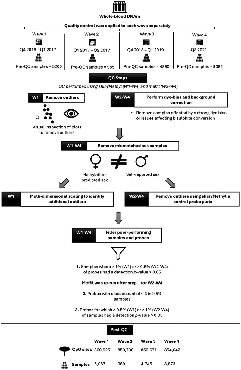 Data Resource Profile: Whole-Blood DNA Methylation Resource in Generation Scotland (MeGS).