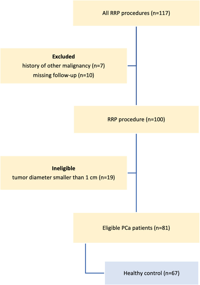 Biochemical and Histological Characterization of Sorcin Overexpression in Patients Who Underwent Radical Prostatectomy.