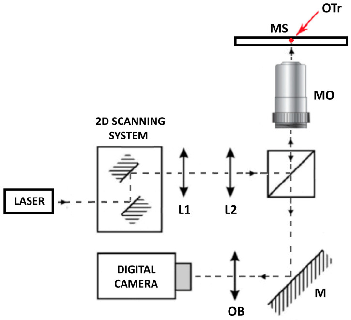 Determination of the Minimum Cell-to-Cell Adhesion Time Using Optical Tweezers in Leukemia and Lymphoma Research.