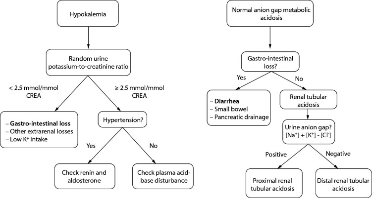An unusual case of neuroblastoma presenting with prolonged watery diarrhea in a pediatric patient.