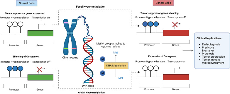 Artificial Intelligence in cancer epigenomics: a review on advances in pan-cancer detection and precision medicine.