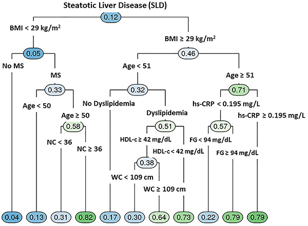 The utility of an artificial intelligence model based on decision tree and evolution algorithm to evaluate steatotic liver disease in a primary care setting.