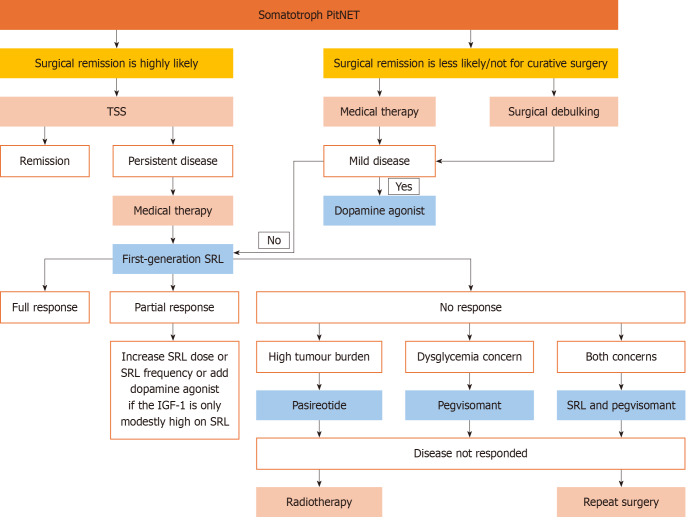 Factors affecting disease control after pituitary tumor resection in acromegaly: What is the current evidence?