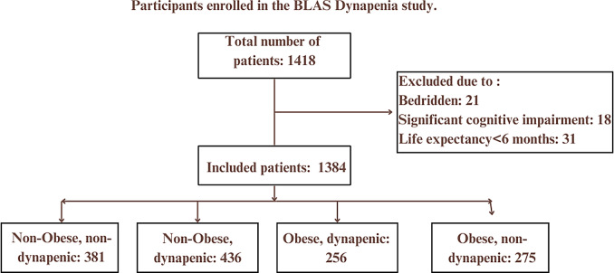 Association between Dynapenic abdominal obesity and fall risk among older adults: a longitudinal study in Birjand.