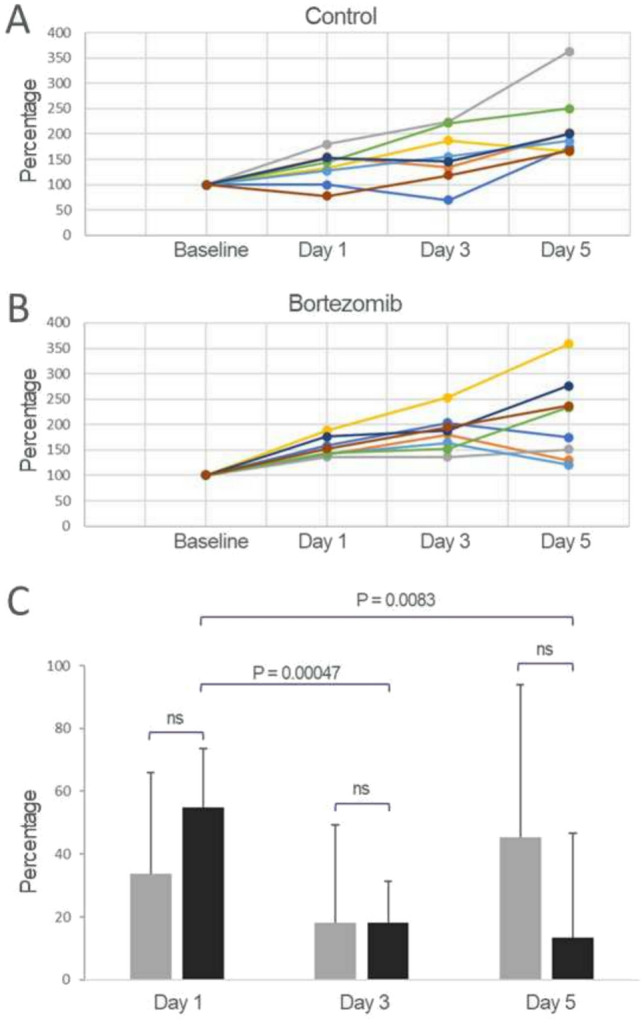 An in vivo imaging approach for simultaneously assessing tumor response and cytotoxicity-induced tissue response in chemotherapy