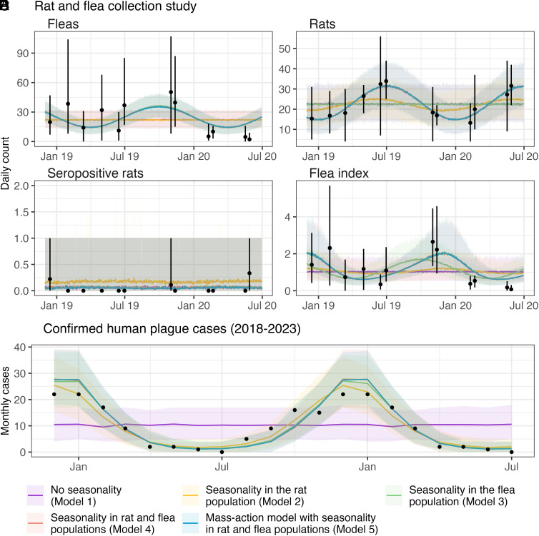 Unraveling the role of rat and flea population dynamics on the seasonality of plague epidemics in Madagascar.