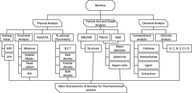 Unlocking the potential of sugarcane bagasse: a comprehensive analysis for advanced energy conversion.