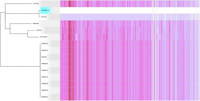 Genome characterization of Trichophyton mentagrophytes genotype VII strain PG12DES from Italy.