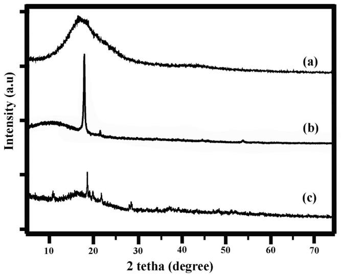 Enhanced efficacy of breast cancer treatment with etoposide-graphene oxide nanogels: A novel nanomedicine approach.