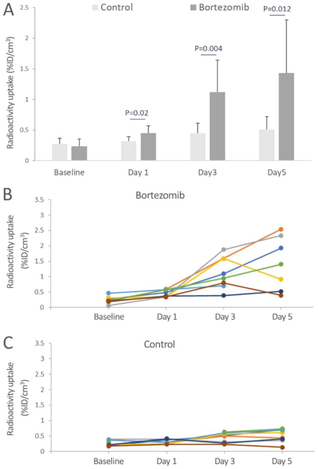 An in vivo imaging approach for simultaneously assessing tumor response and cytotoxicity-induced tissue response in chemotherapy