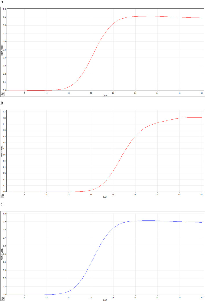 Design and comparison of PCR-ELISA reaction with other available hybridization methods to identify types 11, 16, and 18 of the human papillomavirus.