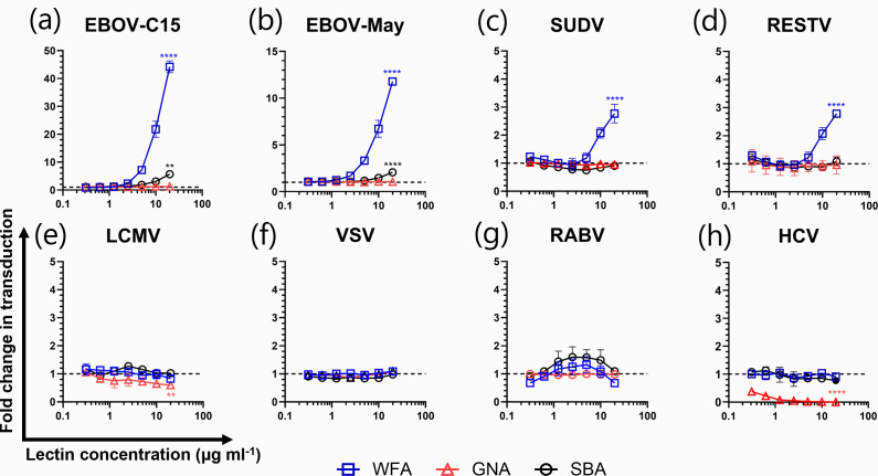 <i>Wisteria floribunda</i> agglutinin enhances <i>Zaire ebolavirus</i> entry through interactions at specific <i>N</i>-linked glycosylation sites on the virus glycoprotein complex.