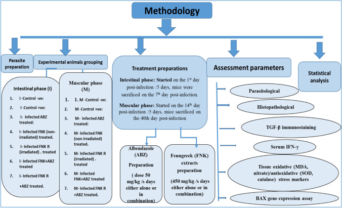 Ameliorative Effects of Blue LED Irradiated and Non-Irradiated Fenugreek Seed Extracts on Murine Trichinosis