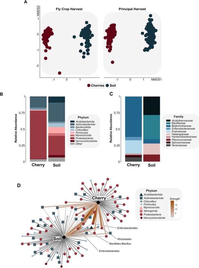 Soil and cherry bacterial communities predict flavor on coffee farms.