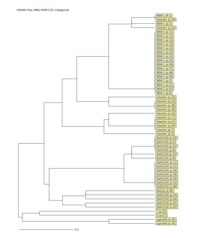Genotypic diversity of <i>Mycobacterium tuberculosis</i> strains collected from immigrant patients in Mashhad, Iran using MIRU-VNTR method.