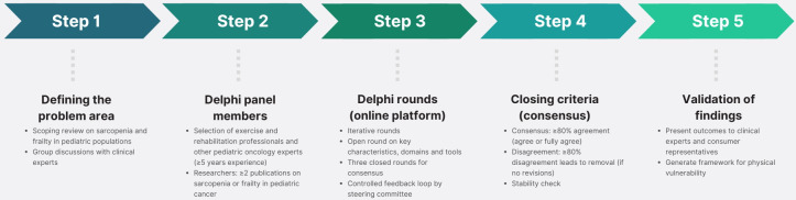 Establishing consensus on defining the physically vulnerable child with cancer: a protocol for an international Delphi approach.