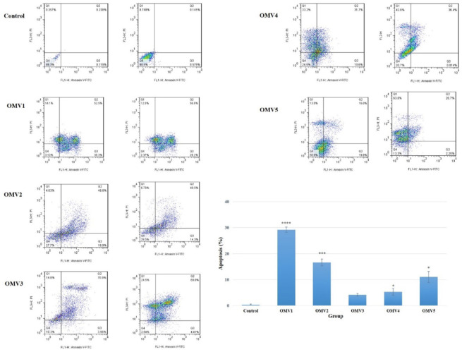 Anticancer Effects of <i>Escherichia Coli</i>-Derived Outer Membrane Vesicles against Colorectal Cancer Cells through Regulation of Apoptosis.