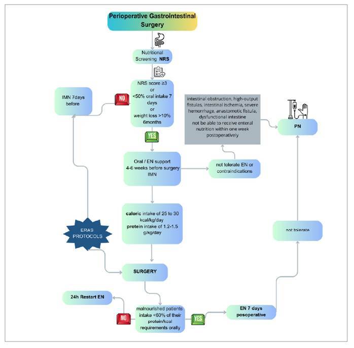 PERIOPERATIVE NUTRITIONAL SUPPORT IN GASTROINTESTINAL SURGERY - WHY IS IT ESSENTIAL?