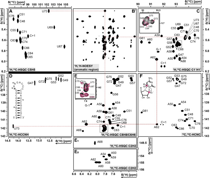 NMR characterisation of the antibiotic resistance-mediating 32mer RNA from the 23S ribosomal RNA