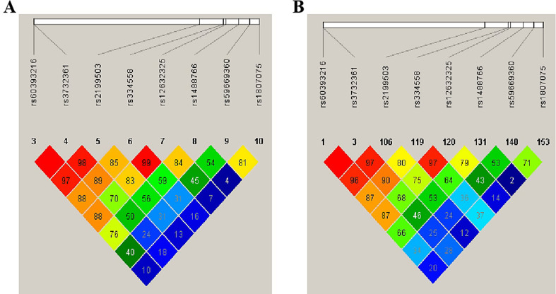 Case-control study combined with machine learning techniques to identify key genetic variations in GSK3B that affect susceptibility to diabetic kidney diseases.