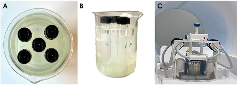 Development of a carrier device for dental-dedicated magnetic resonance imaging.