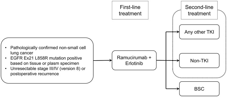 Ramucirumab and erlotinib combination as first-line treatment for advanced or recurrent non-small cell lung cancer harboring <i>EGFR</i> Exon21 L858R mutation: a multicenter retrospective observational cohort study in Japan (REAL-SPEED).