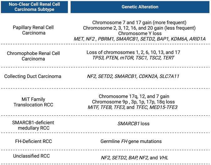 Recent progress in non-clear cell renal cell carcinoma: biology and therapeutic strategies.