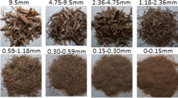 Unlocking the potential of sugarcane bagasse: a comprehensive analysis for advanced energy conversion.
