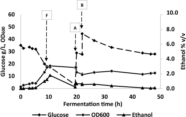 Toxicity reduction in continuous, high productivity ethanol fermentation by Parageobacillus thermoglucosidasius using in situ microbubble gas stripping.