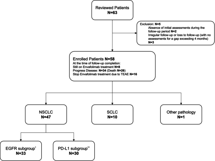 Safety and Efficacy of the First Subcutaneous ICI, Envafolimab, in the Treatment of Advanced Lung Cancer Patients: A Real-World Study.