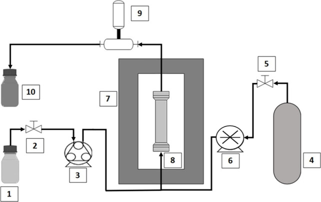 Greener Decellularization of Porcine Auricular Cartilage Using Supercritical Technology and Different Pretreatments for Application in Tissue Engineering