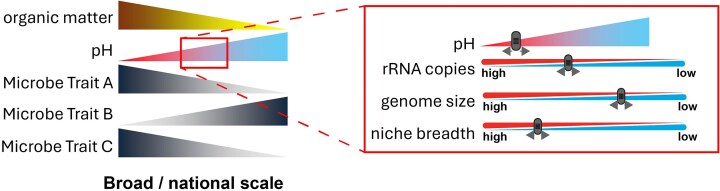 Soil properties in agricultural systems affect microbial genomic traits.