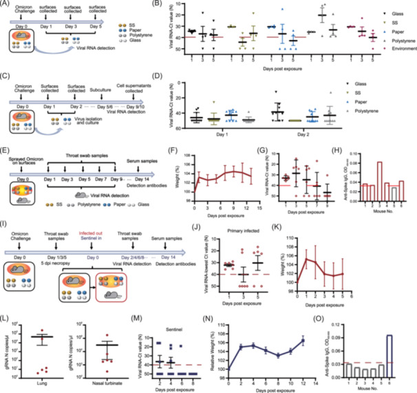 Evidence for fomite transmission of SARS-CoV-2 Omicron variant in a mouse model.