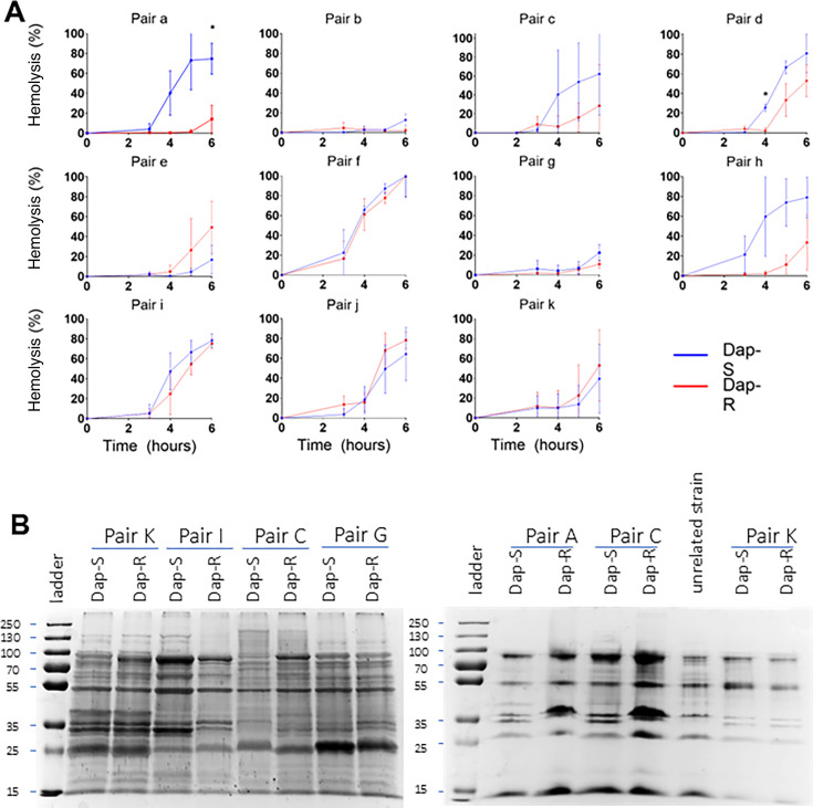 Acquisition of daptomycin resistance in patients results in decreased virulence in <i>Drosophila</i>.