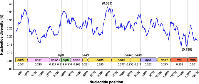 First complete mitochondrial genome of Armillifer moniliformis (Pentastomida: Porocephalida) isolated from a human case in Northern Thailand: comparative and phylogenetic analyses.