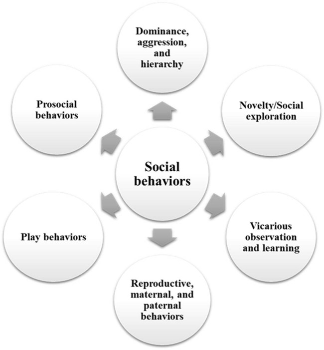 Exploring rodent prosociality: A conceptual framework.