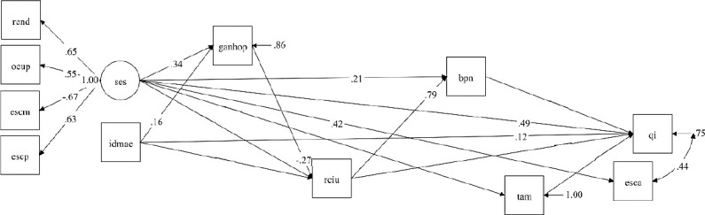Do adversities in the intrauterine and neonatal periods interfere with intelligence?