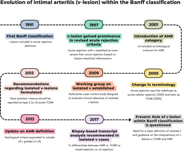 From Banff 1991 to Today: The Changing Landscape of the v-Lesion in Kidney Transplant Rejection.