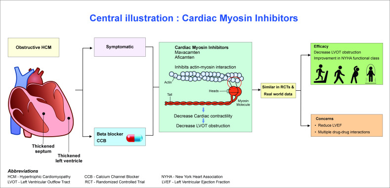 Cardiac myosin inhibitors: a silver lining for an old disease.