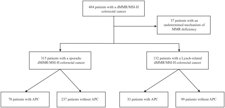 Second malignancies in patients with deficient mismatch repair system/microsatellite instability-high colorectal cancer.