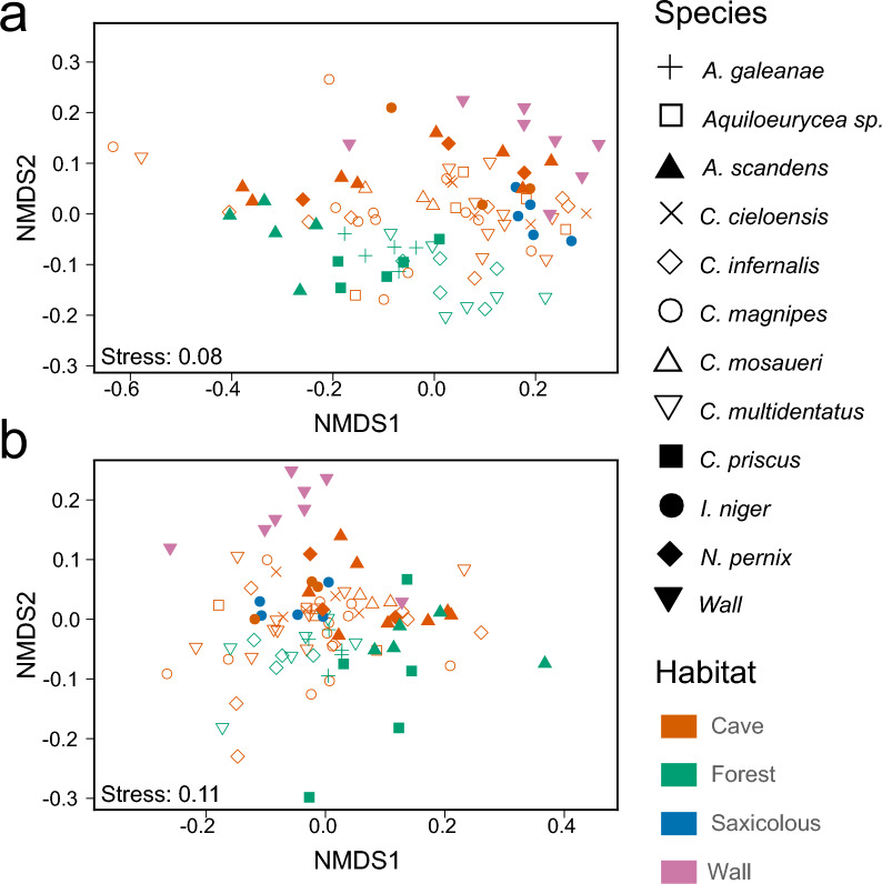 Differences in composition and potential function of the bacterial communities of cave- and surface-dwelling Mexican salamanders.